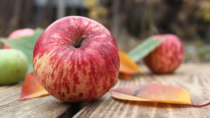 The Perfect Time to Celebrate Apples? October - National Apple Month