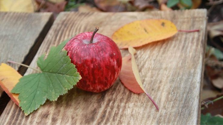 October Is the Perfect Time to Celebrate Apples [National Apple Month]