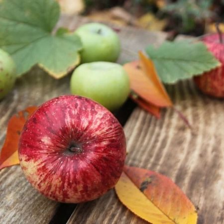 October Is the Perfect Time to Celebrate Apples [National Apple Month]