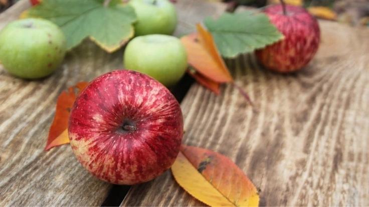 October Is the Perfect Time to Celebrate Apples [National Apple Month]