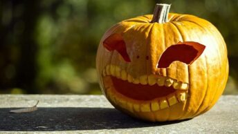 7 Ways to Celebrate a Green Halloween - Tips, Tricks, and Treats