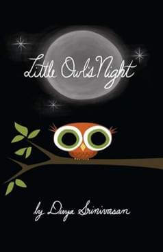 Bedtime Story Books - Little Owl's Night