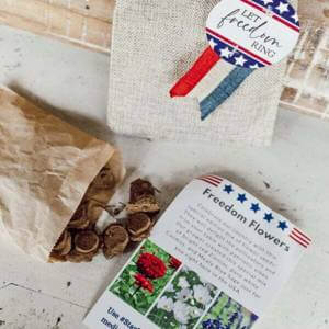 outdoor patriotic home décor - American seed balls