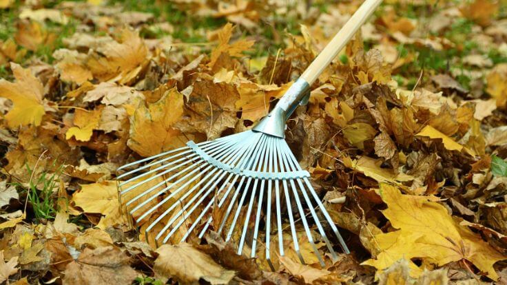 Your Fall Home Maintenance Guide: 35 Tasks to Consider